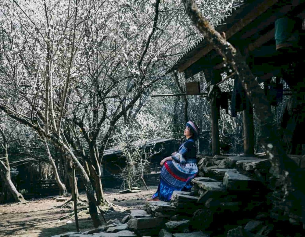 Ta Van Village in winter transforms into a peaceful haven, offering a serene escape amidst the chill of the mountains